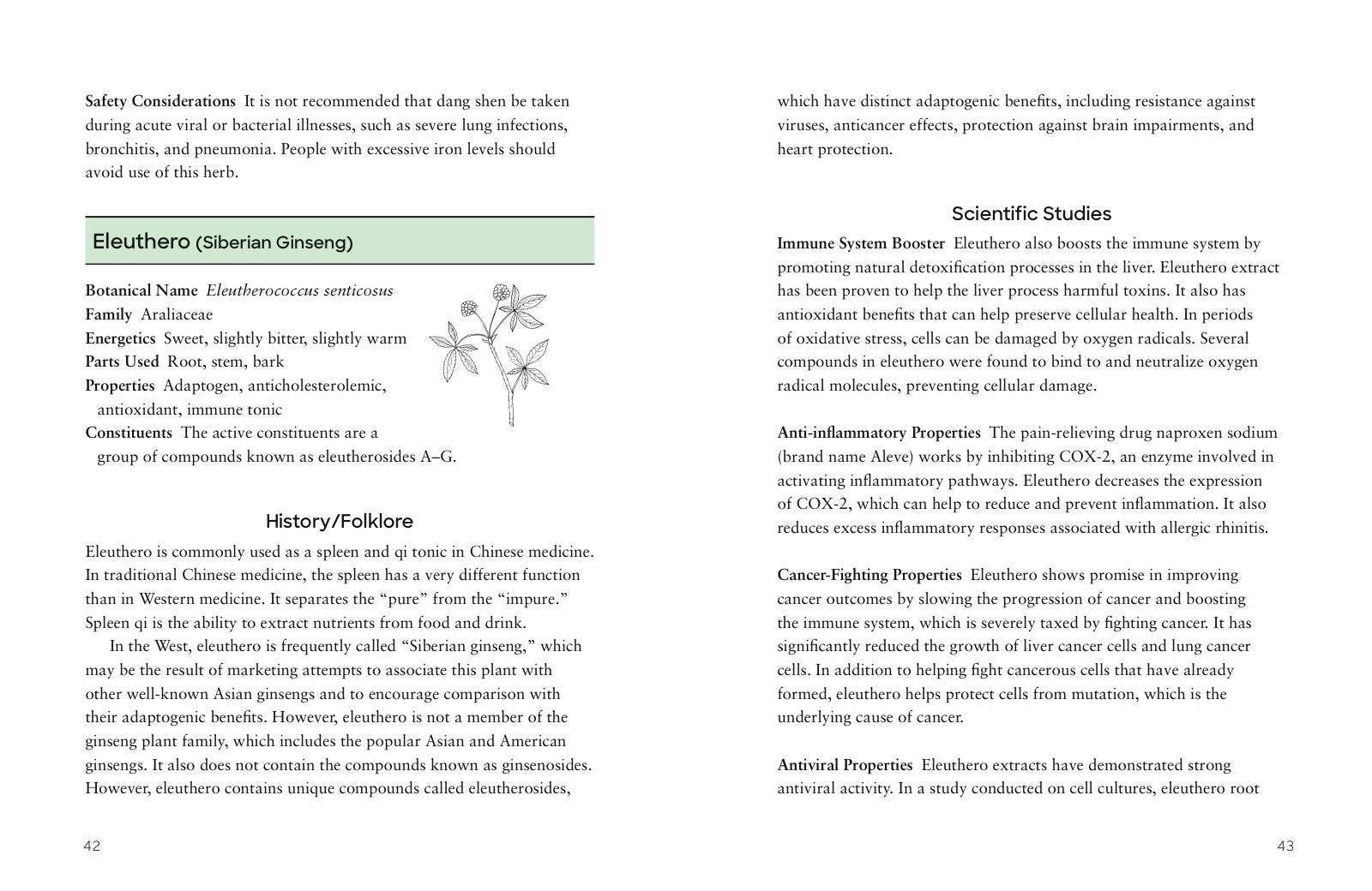 Hachette Book Group - Wholesale Medical Health - Adaptogens by Adriana Ayales5