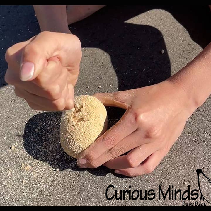 Curious Minds Toys - Wholesale Figurine toy – Kids - 1 Dinosaur Fossil Excavation Dig Eggs - Uncover Dino Fossil 9