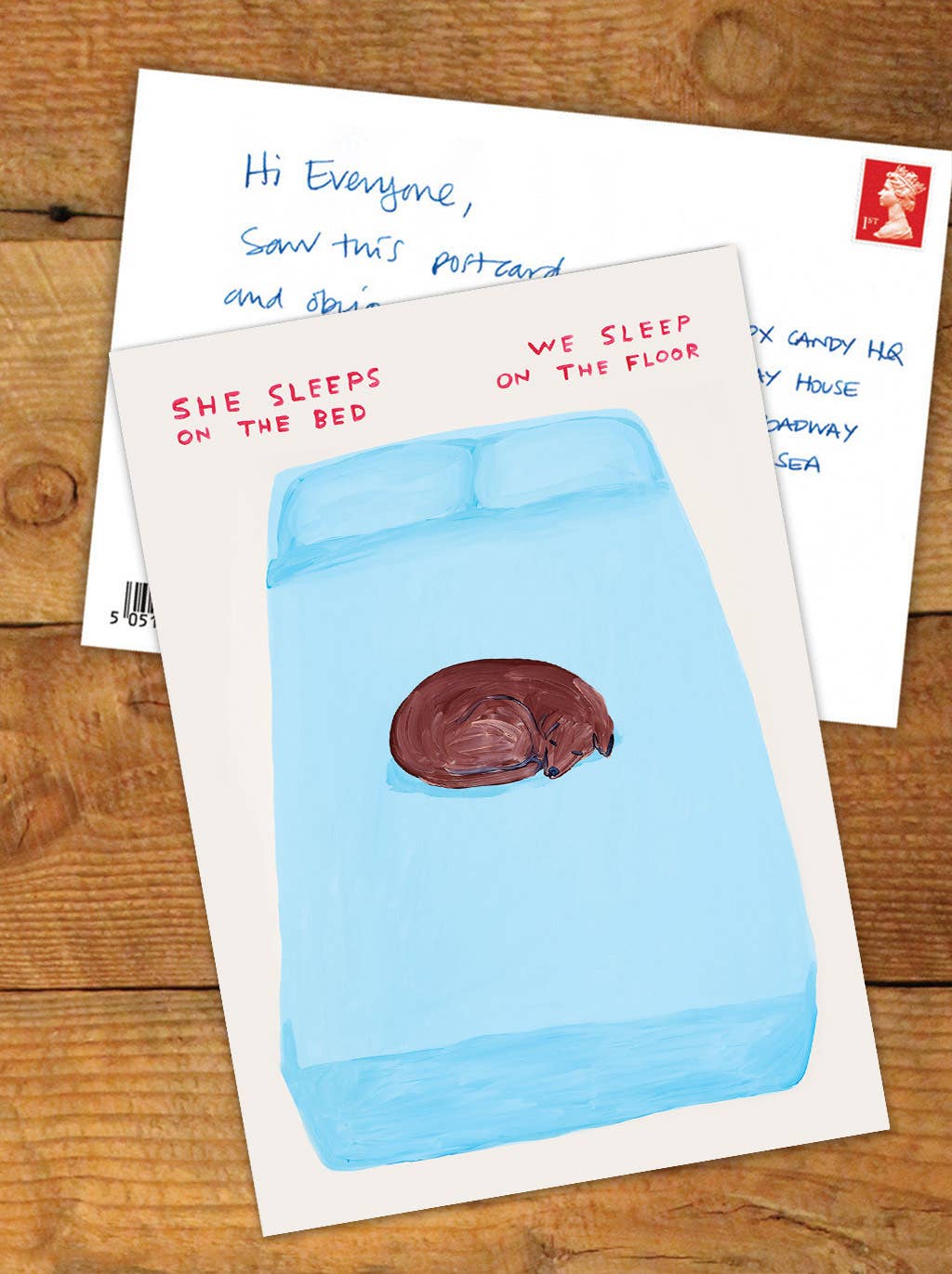 David Shrigley x Brainbox Candy - Vente Cartes postales - Carte postale A6 humoristique de David Shrigley - Dormir sur le lit1