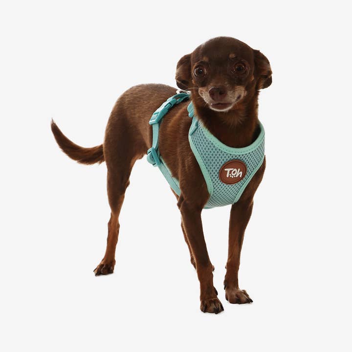 Toh - Wholesale Pet Harness - Dog - H-Mesh Dog Harness Maresia1