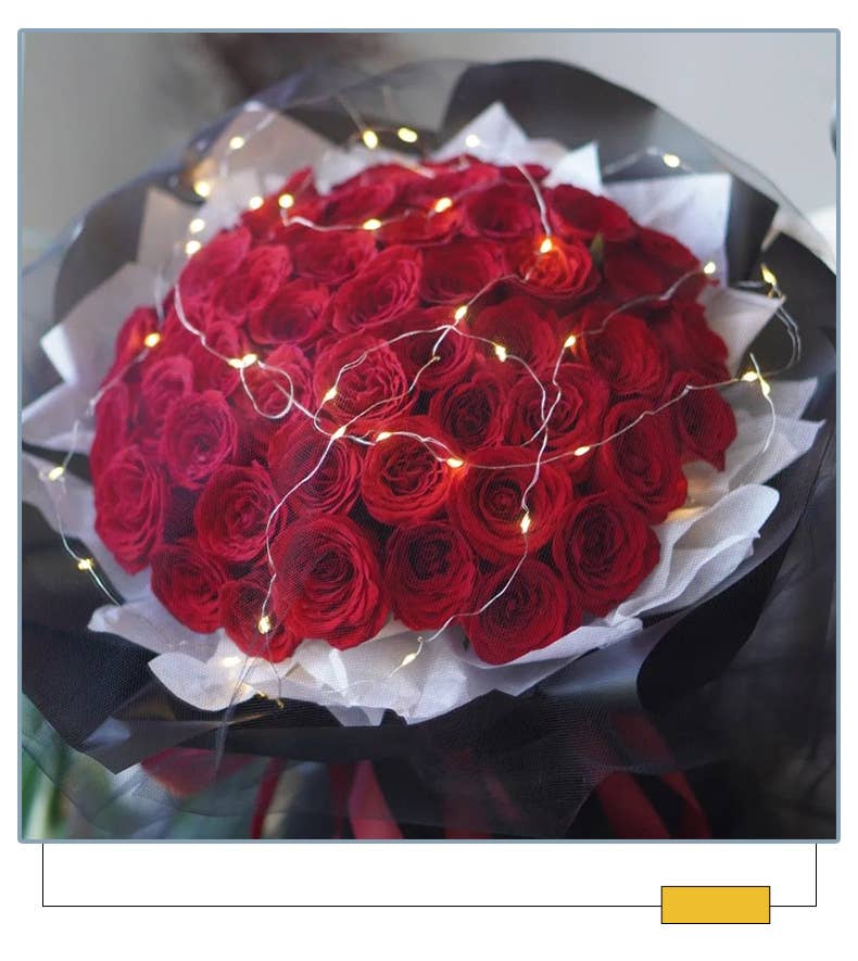 ByHome - Vendita all'ingrosso Fili di luci - Set di 20 luci a LED calde e fredde con 4 frequenze e batteria1