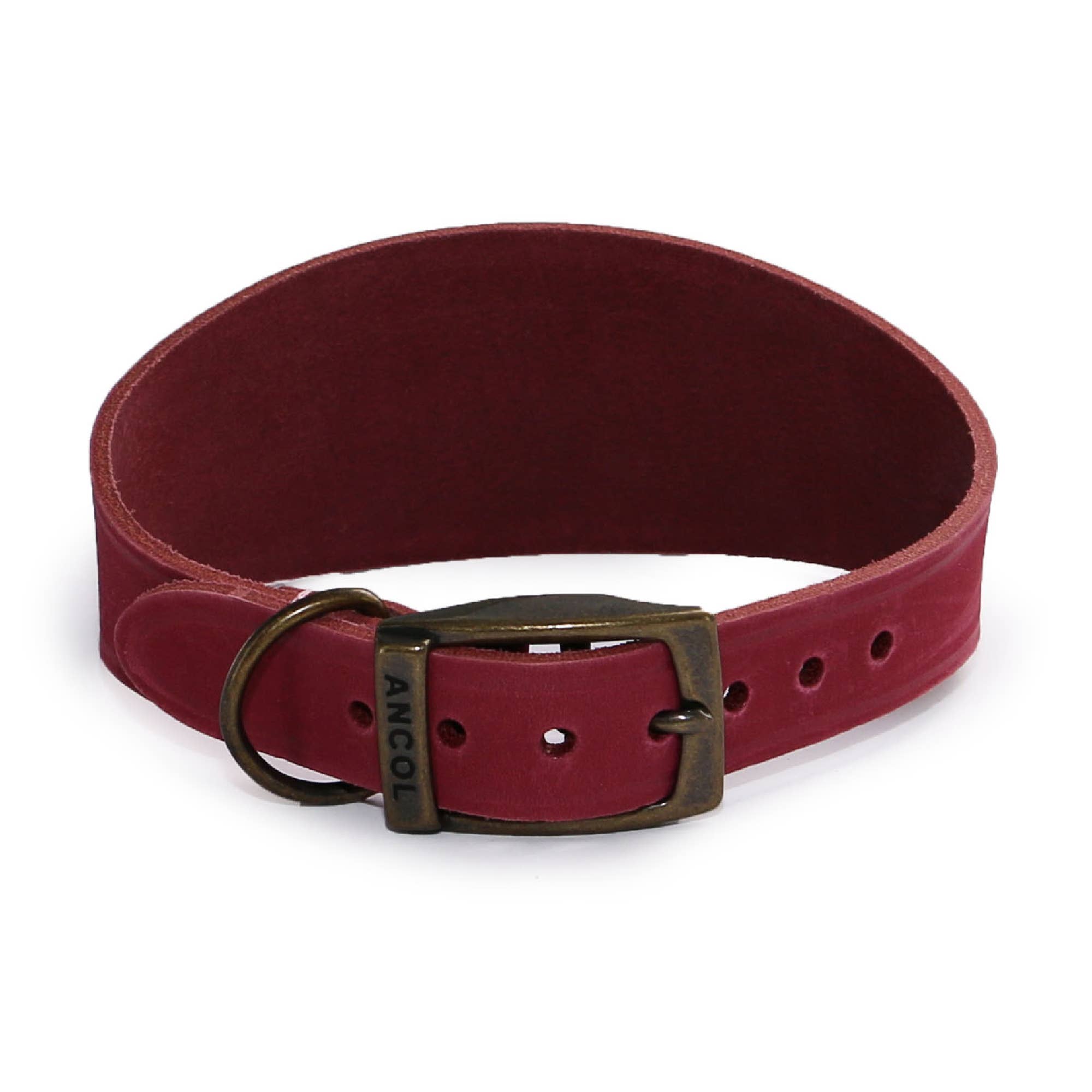 Ancol Pet Products Ltd – wholesale Pet collar – Dog – Timberwolf Leather Hound  Collar ( Size 30-34cm)9