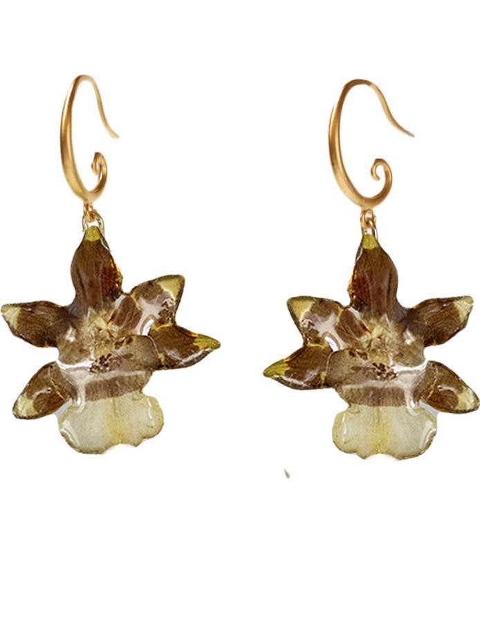 Miniature Odontocidium Orchid Hoops for wholesale by Lakoo Designs