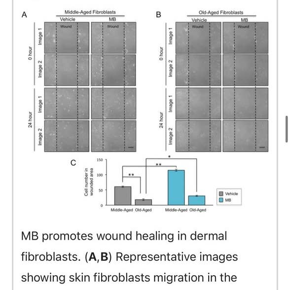 Aloe Tallow - Vendita all'ingrosso Sieri/creme concentrate per il viso - Siero Riparatore per la Pelle al Blu di Metilene e Sebo8
