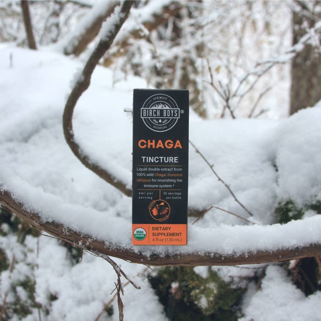Birch Boys - Wholesale Tincture - Wild Organic Chaga Tincture1