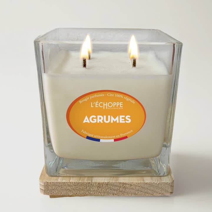 L'Échoppe Buissonnière - Wholesale Jar/Filled Candle - Citrus - Scented Candle 400g