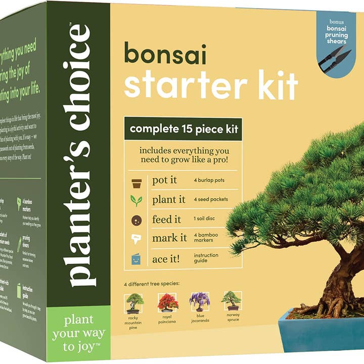 Planter's Choice - Wholesale DIY Craft Kit - Bonsai Starter Kit2