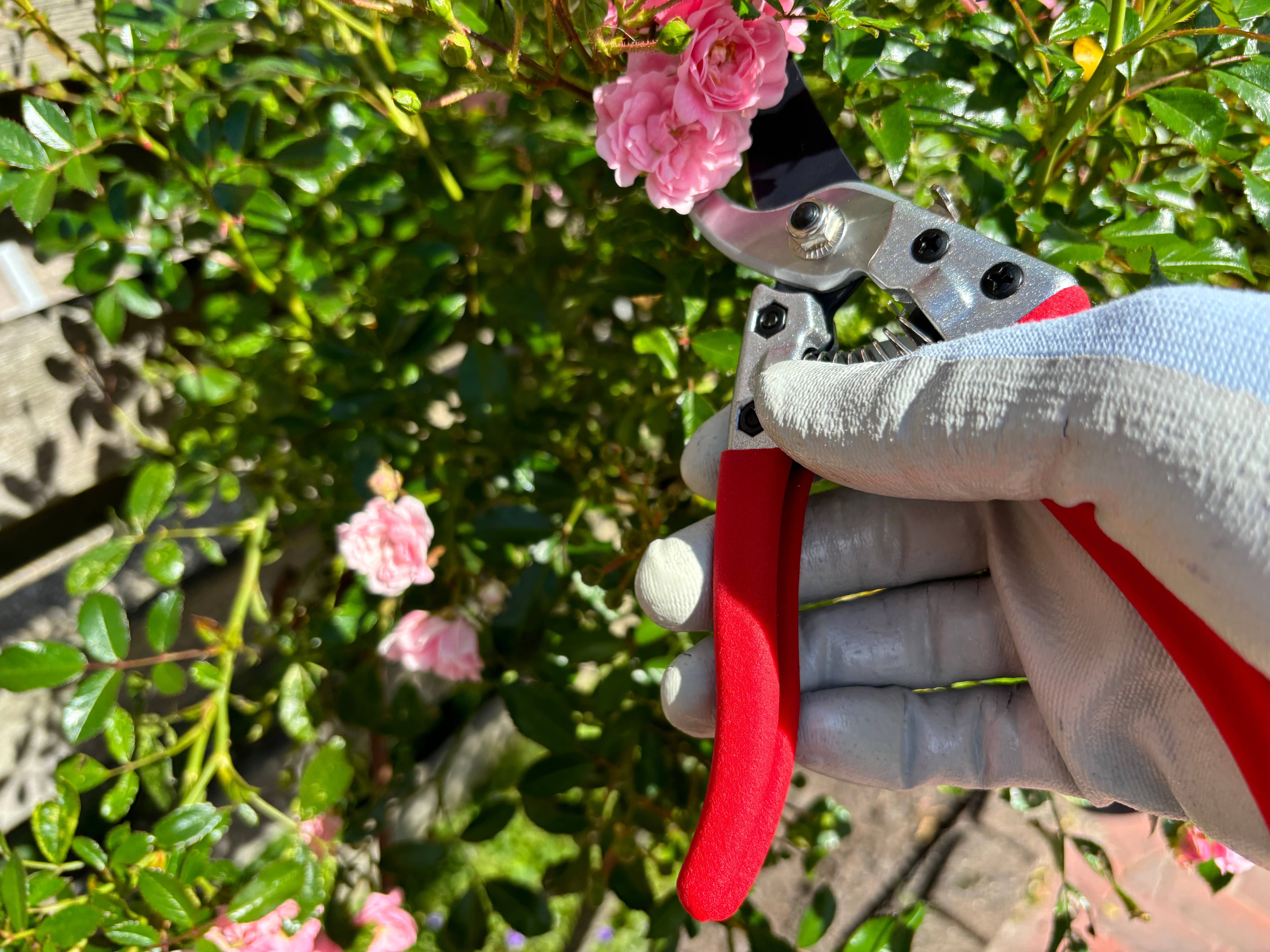 Gärtnertraum – wholesale Trädgårdsverktyg – Grensax - Sekatör13