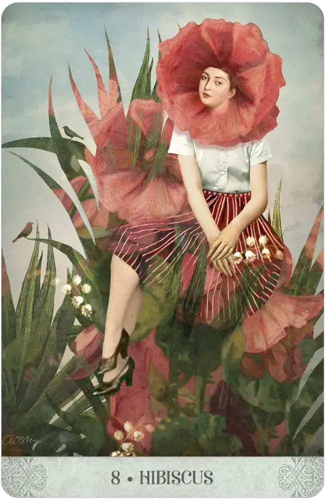 U.S. Games Systems Inc. – Cartas de tarô por atacado – Oráculo Sonhos Botânicos4