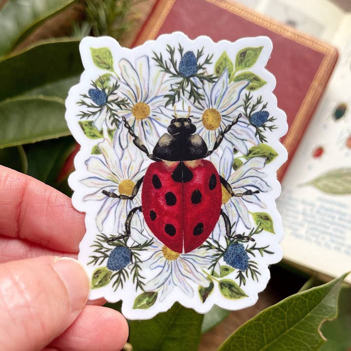 Ladybug Autocolante Para Caneca de Café Decalque por atacado de Candace Fincher