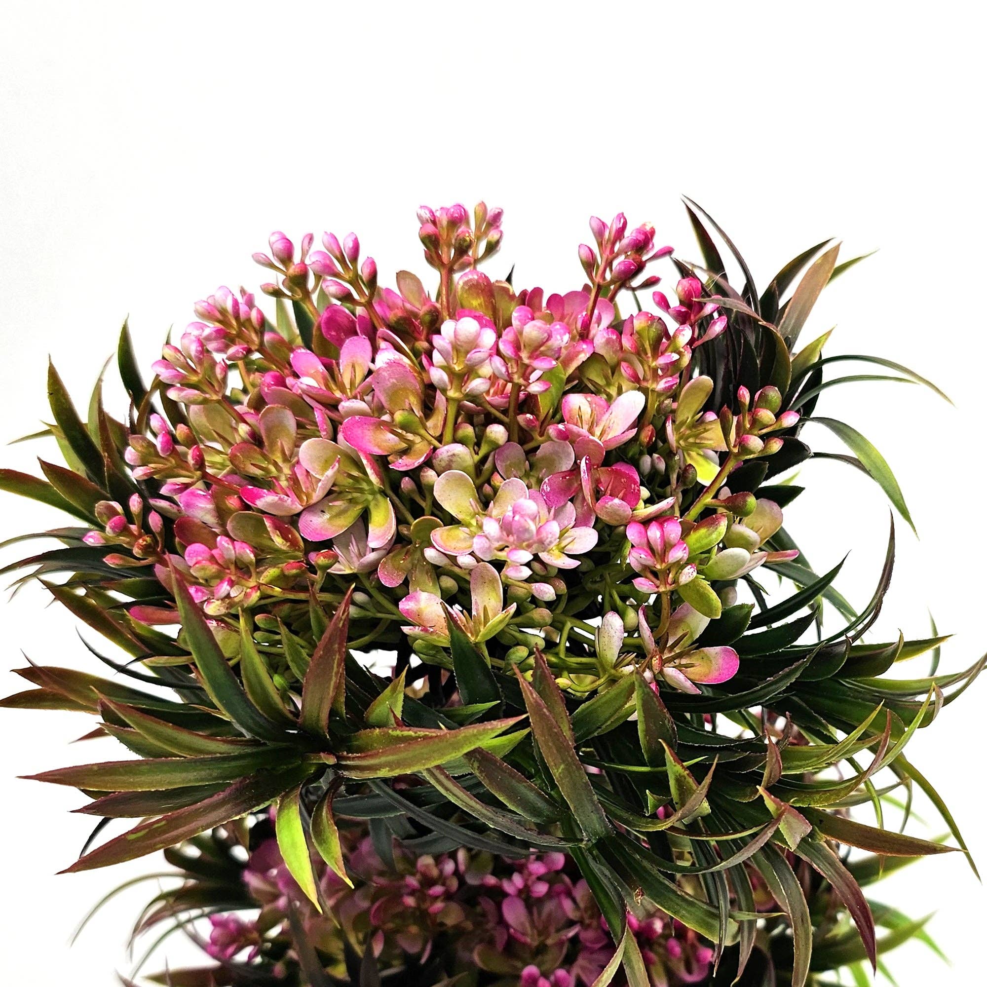 Ledsone – wholesale Artificial plant – Small Potted Artificial Flower 2 Pack Indoor Décor ~538123