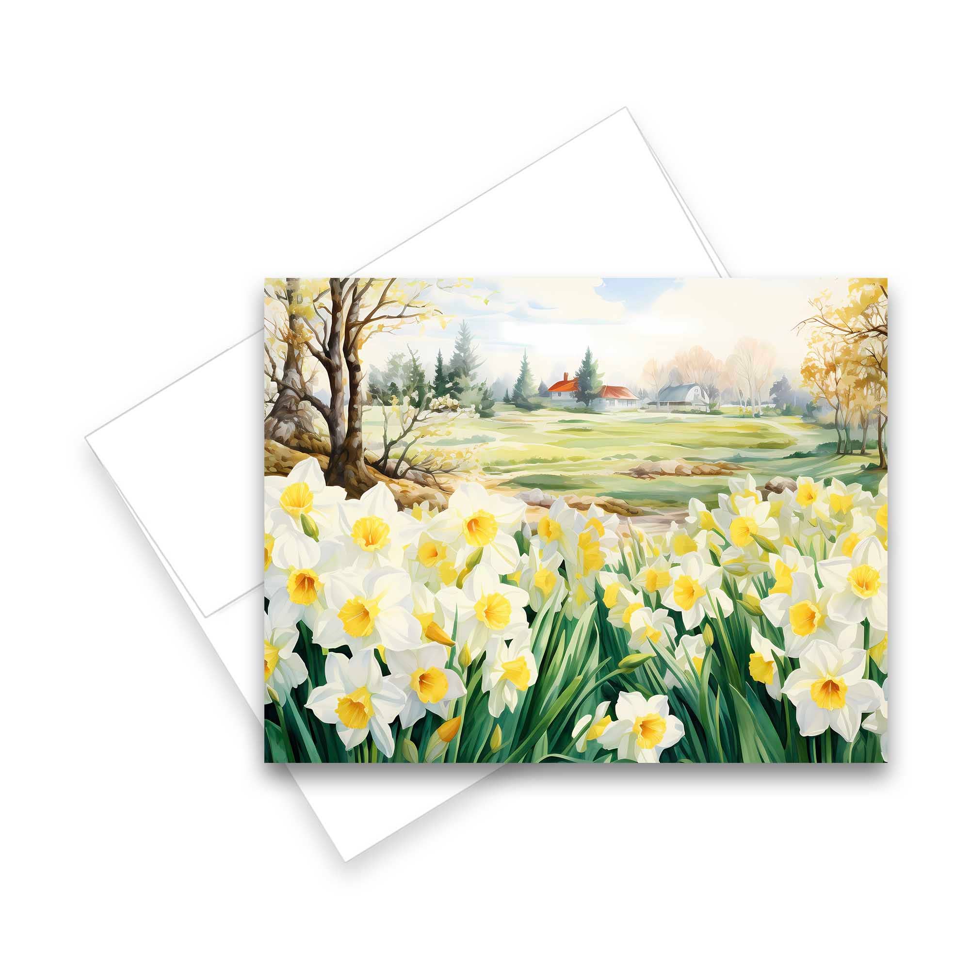 Aria Rae - Wholesale Stationery/Notecard Set - Assorted Watercolor Daffodil Fields Notecards - Set of 66