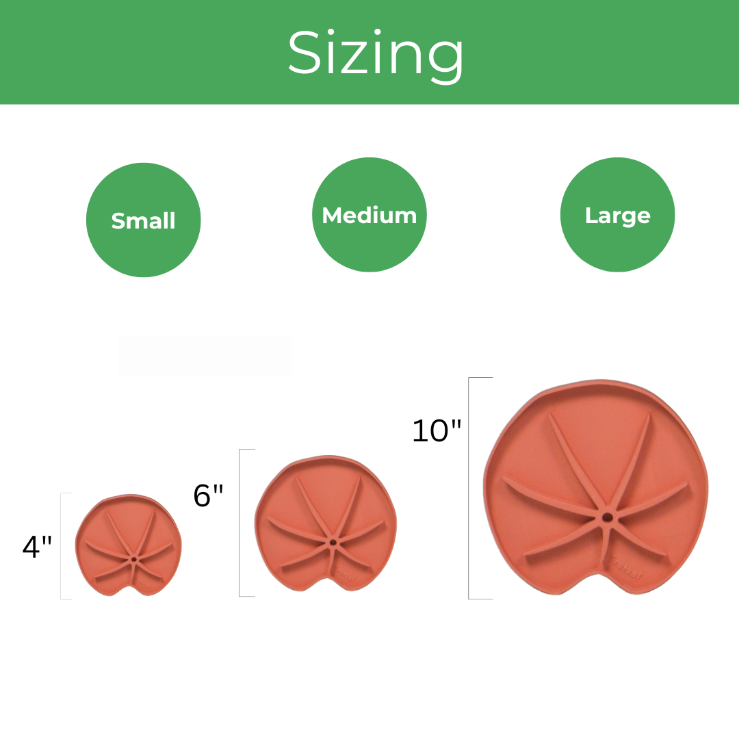 Treleaf - Wholesale Plant pot - Lili Sausr - Lilly pad shaped Saucer - Spill tray - Drip tray for houseplants - Humidity tray7