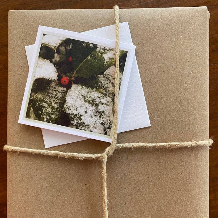 Tarjeta de carcasa Holly para venta al por mayor de Whispered Light Greeting Cards