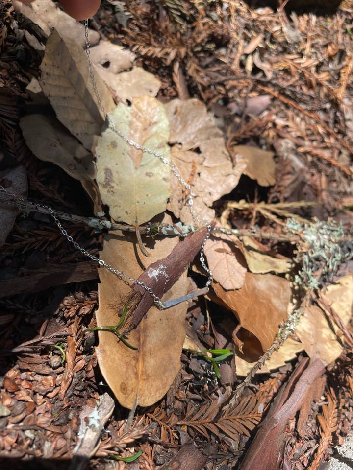 Collier Creek pour la vente par Woods to Wire