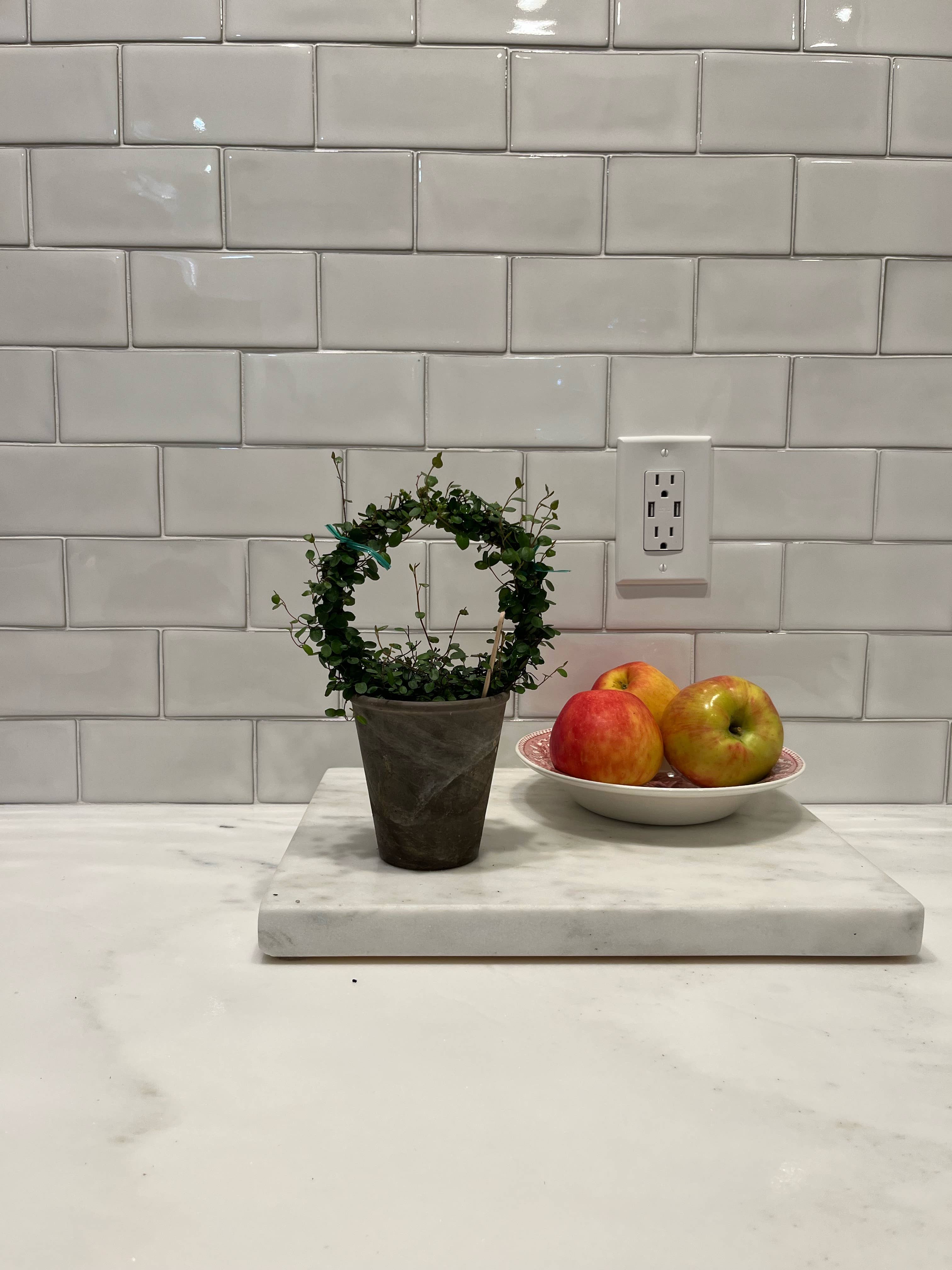 Sunrise Topiaries - Wholesale Live Plant - Live 5 inch woven Angel Vine Ring in 4 inch pot8