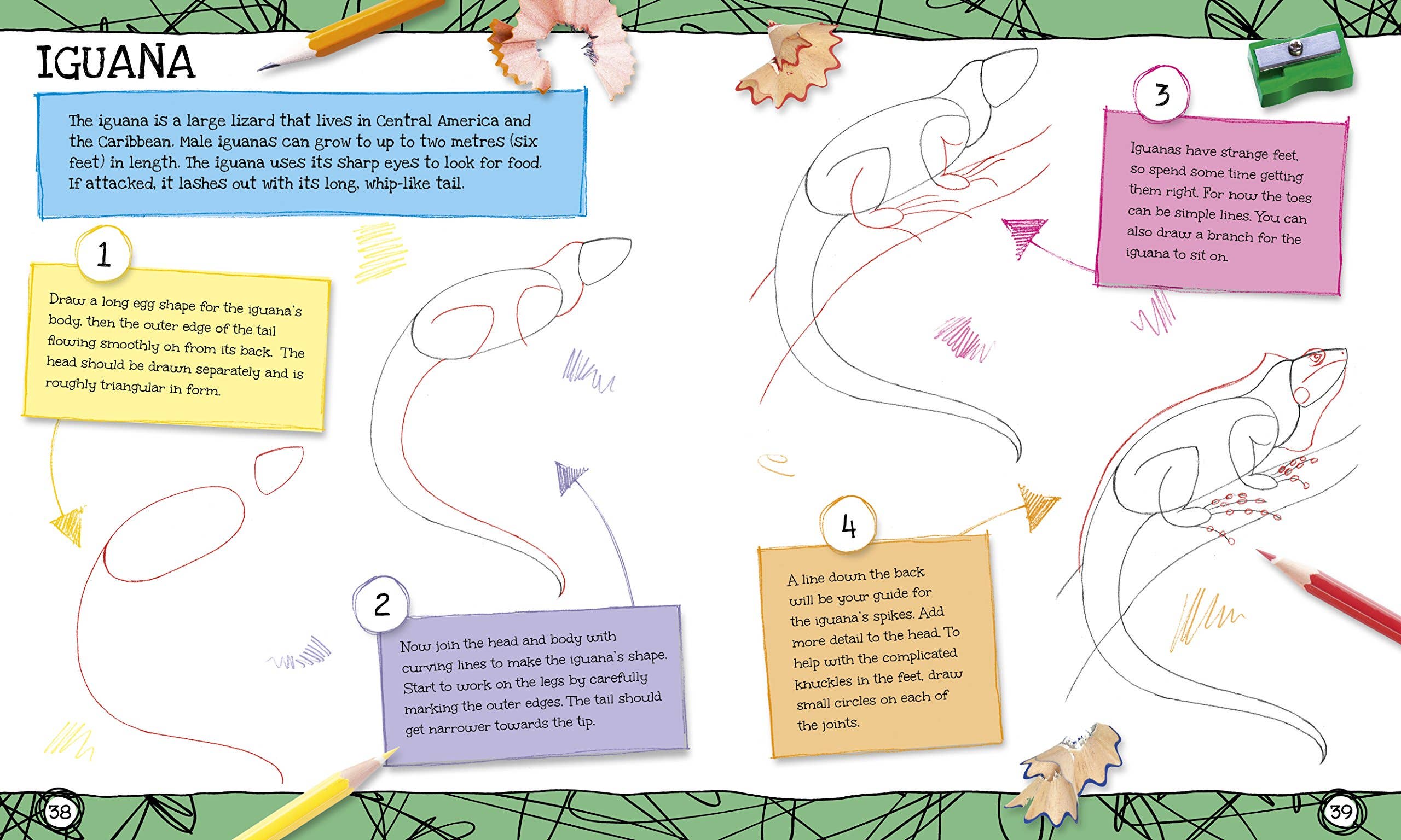 Texas Bookman - Wholesale Arts & Entertainment - How To Draw Everything1