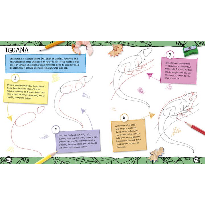 Texas Bookman - Wholesale Arts & Entertainment - How To Draw Everything1