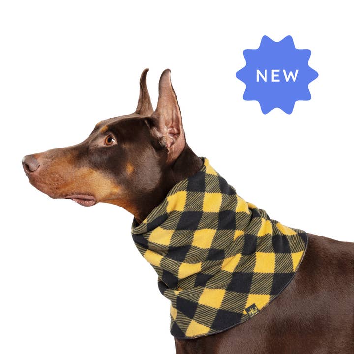 Snood! for wholesale by Gold Paw Series