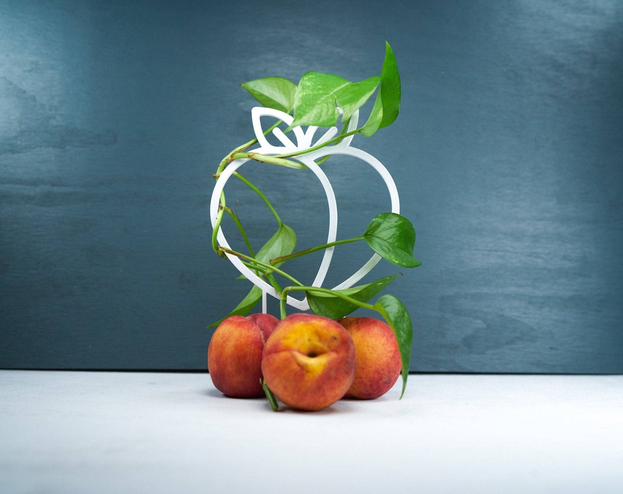 Rosebud Homegoods - Wholesale Trellis - Peach Plant Trellis for Vining Plants11