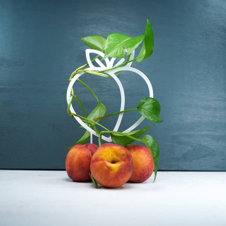 Rosebud Homegoods - Vente Treillis - Tuteur pour plantes grimpantes de pêcher11