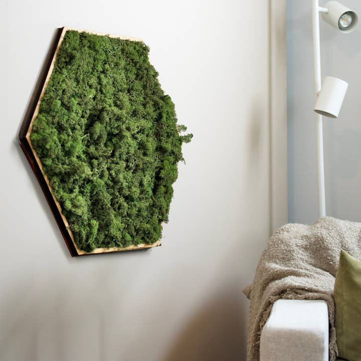 Huldra grande per la vendita all'ingrosso da parte di Growing Concepts