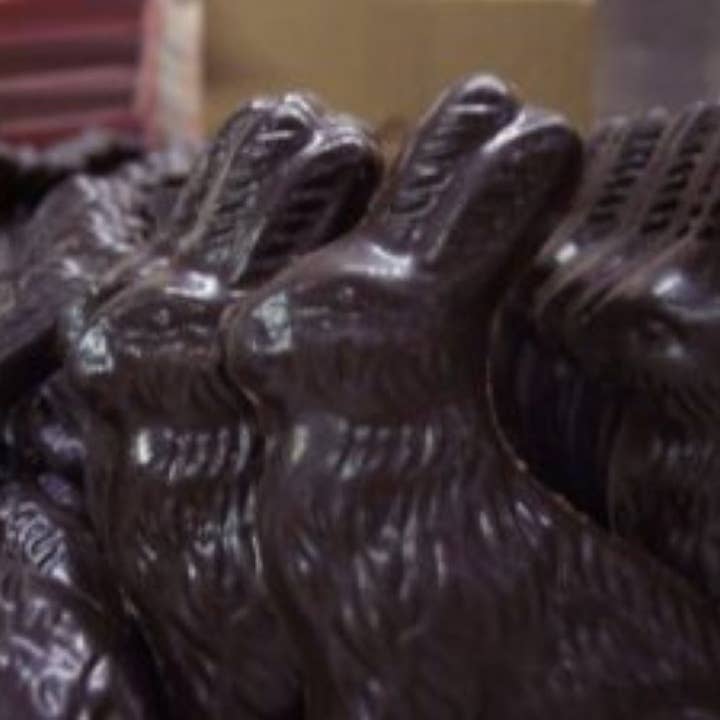 3 inch 2D Vegan Solid Chocolate Bunnies for wholesale by Trendz