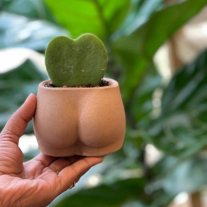 Queen City Crete - Wholesale Plant Pot - Mini Booty Planter