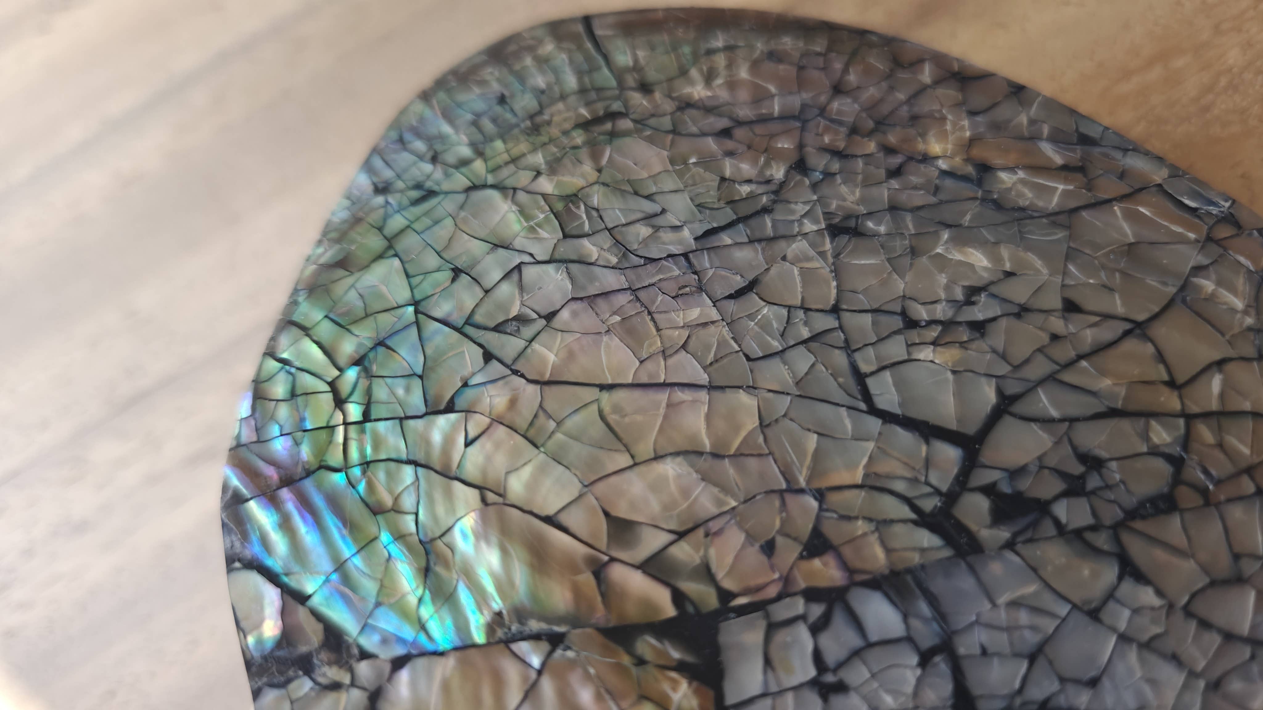 Product Import Holland – Engroshandel Bordpynt – Smykkeskrin Kupang med naturinspireret skaller fra kysten5