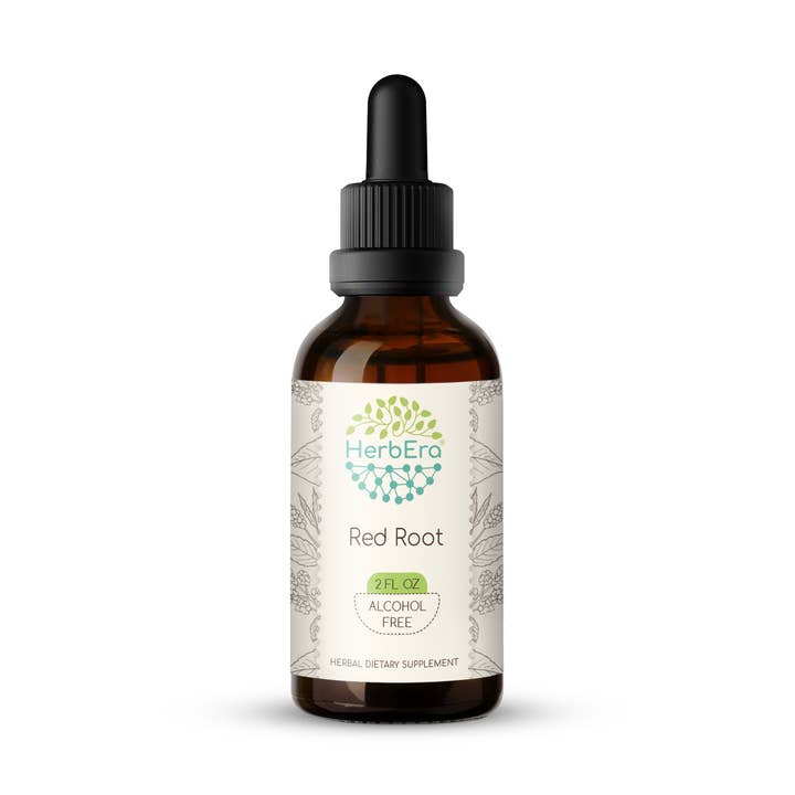 Rød rod tinktur for engroshandel hos HerbEra