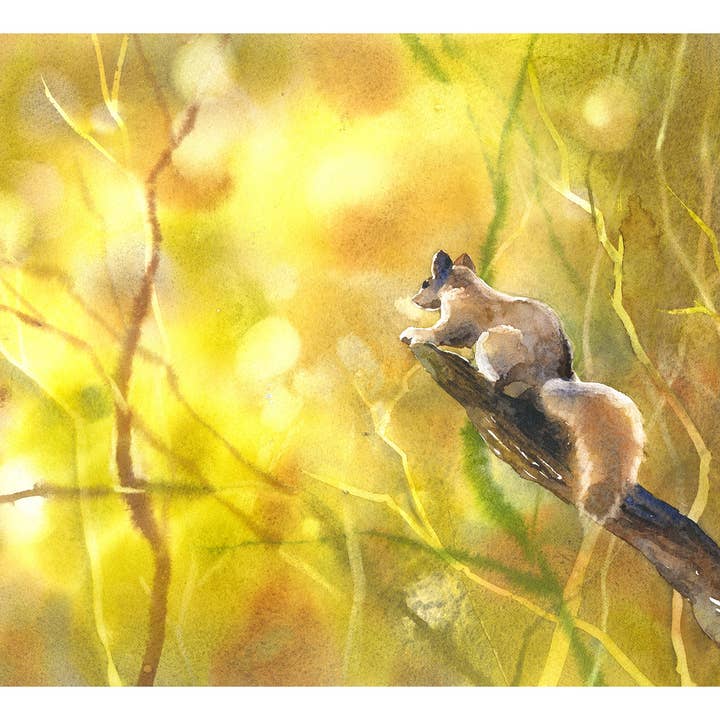 Impression d'art à l'aquarelle d'écureuil – Peinture d'animal de la forêt, décoration murale nature pour le salon, illustration d'art fait main pour la maison pour la vente par Ryan Fox Fine Art