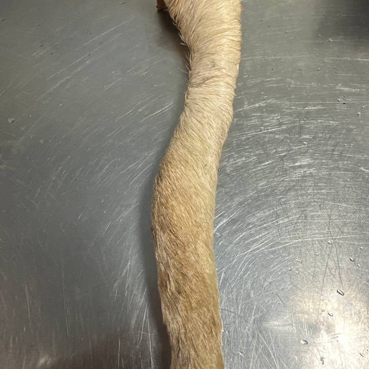 Tapia raw meats for pet food - Wholesale Pet Treats - Dog - Cow Hide Roll 2