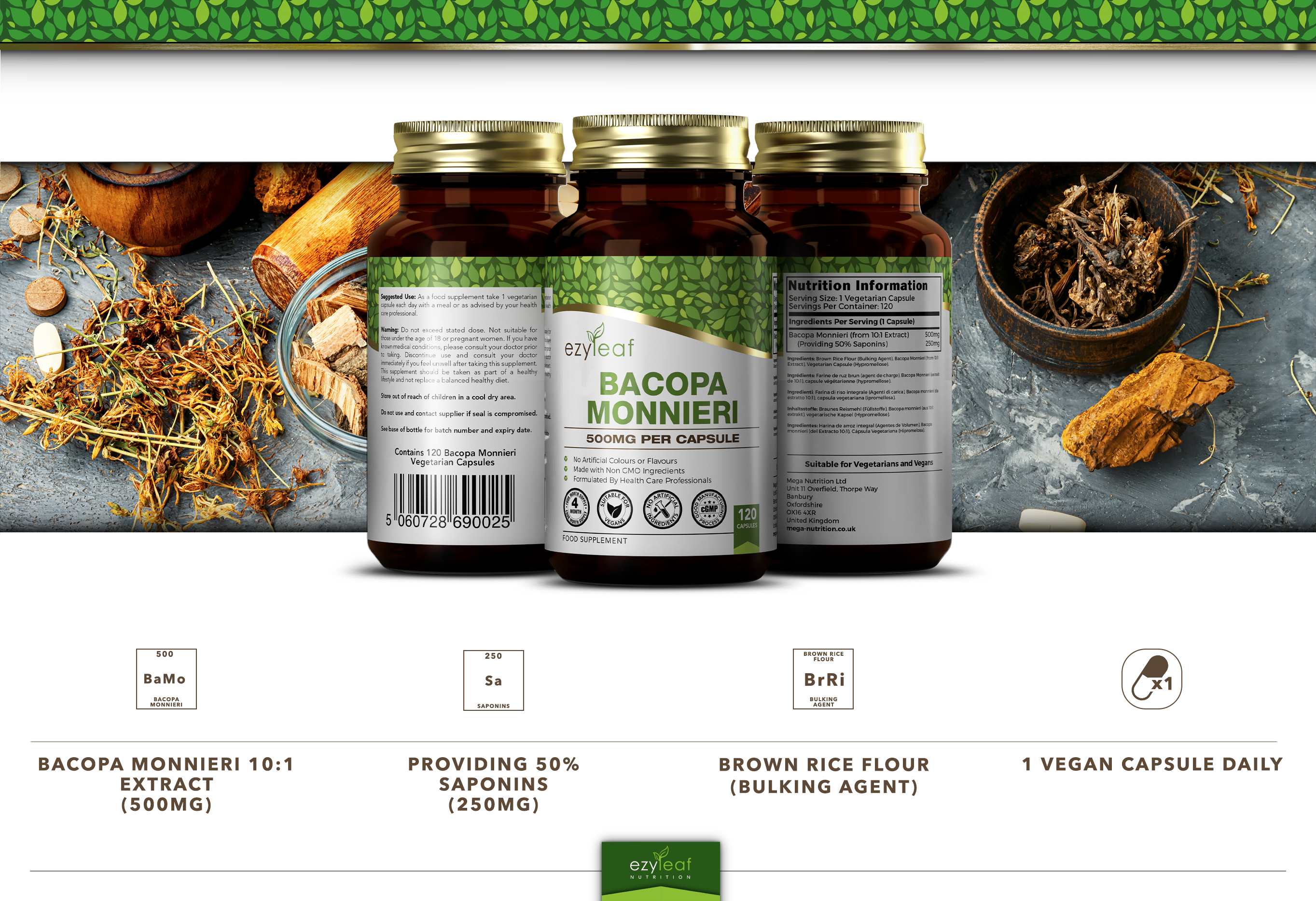 Focus Supplements – wholesale Oral supplement/vitamin – Bacopa Monnieri (500mg) 120 Capsules7