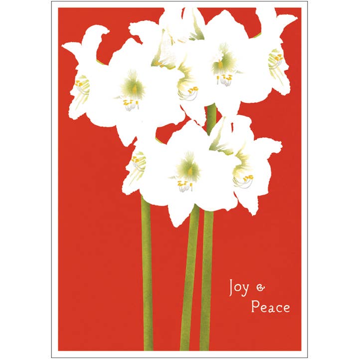 Amaryllis Urlaubskarte für den Großhandel von Studio Eleven Papers