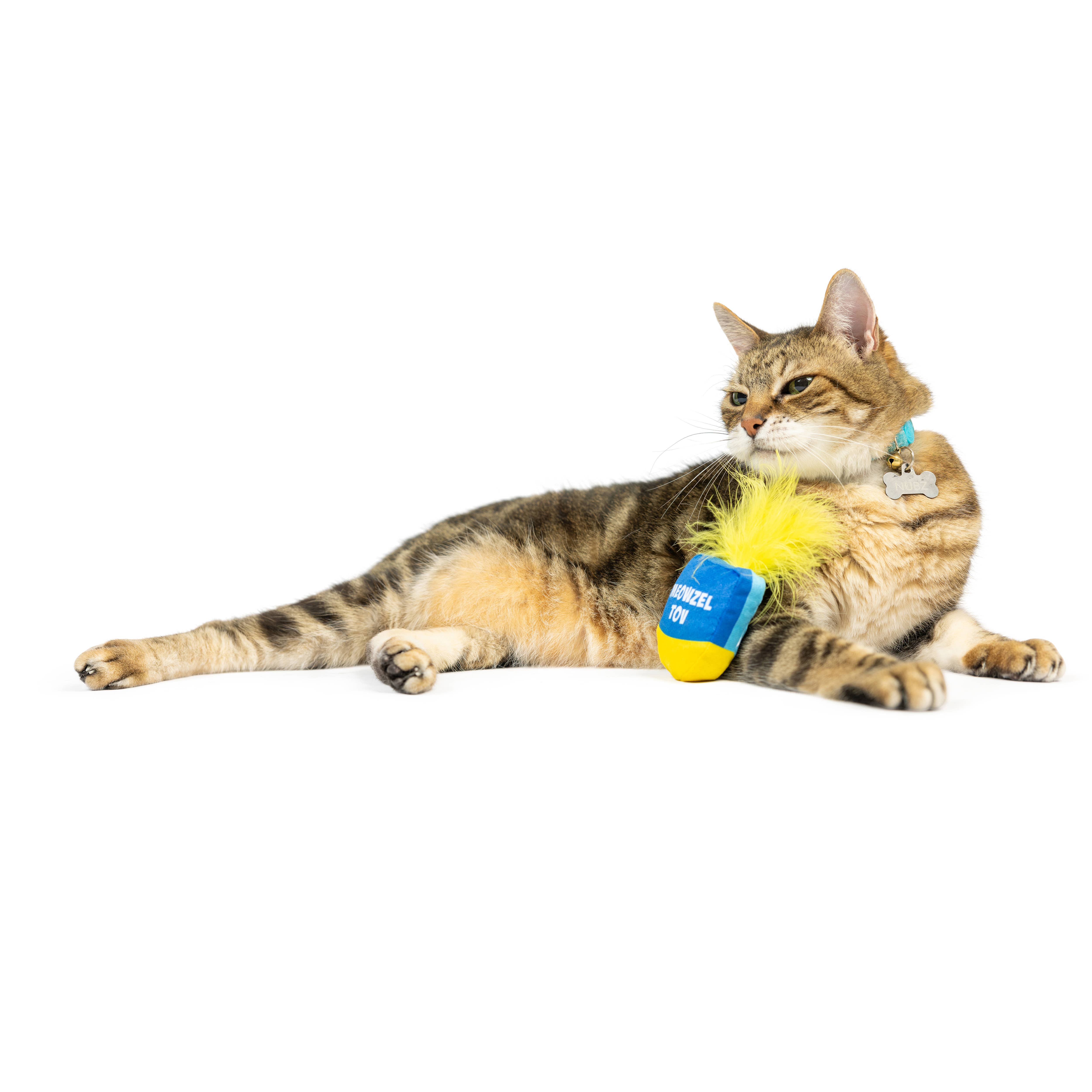 Huxley & Kent - Wholesale Pet Toy - Cat - Meow-zel Tov Dreidel Cat Toy1