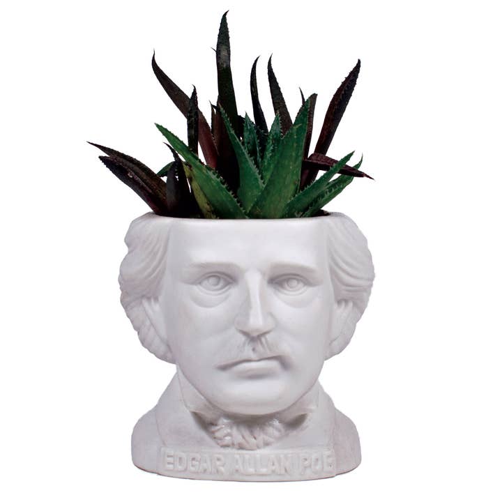Unemployed Philosophers Guild - Wholesale Plant Pot - Edgar Allan Poe Planter