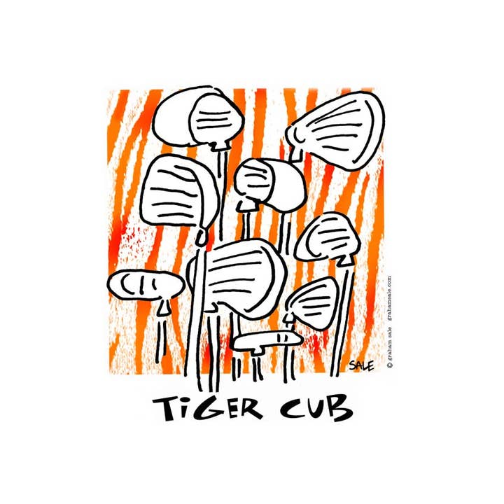 Tigerjunges für den Großhandel von Club Crib