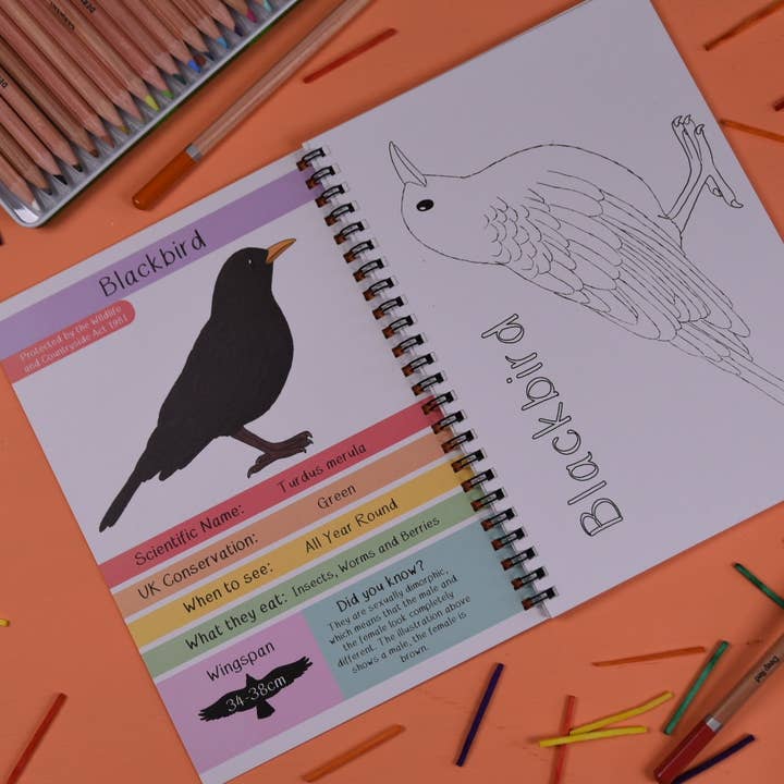 Button & Squirt – wholesale Colouring and activity book – kids and baby – Amazing British Garden Birds Fact and Activity Book 2