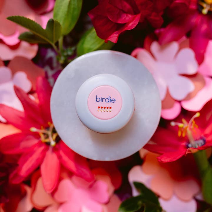She's Birdie - Wholesale Safety Alarm/Gear - Birdie Disc8