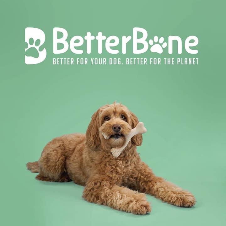 BetterBone - Vendita all'ingrosso Giocattolo da masticare - Cani - BetterBone Giocattolo da masticare Osso da masticare - Grande Medio Classico