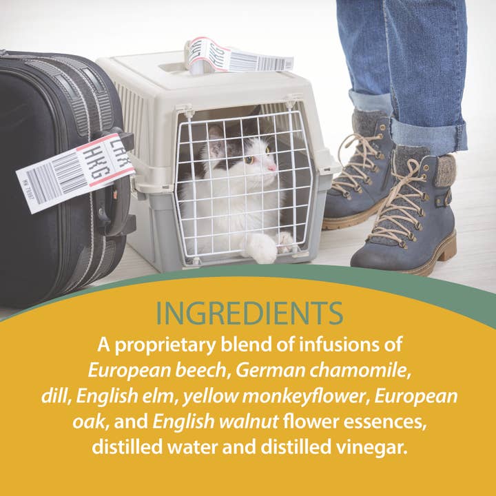 Botanical Animal Flower Essences – Großhandel Nahrungsergänzungsmittel für Haustiere – Katze/Hund – Sichere Reise 4 fl oz (120 ml)4