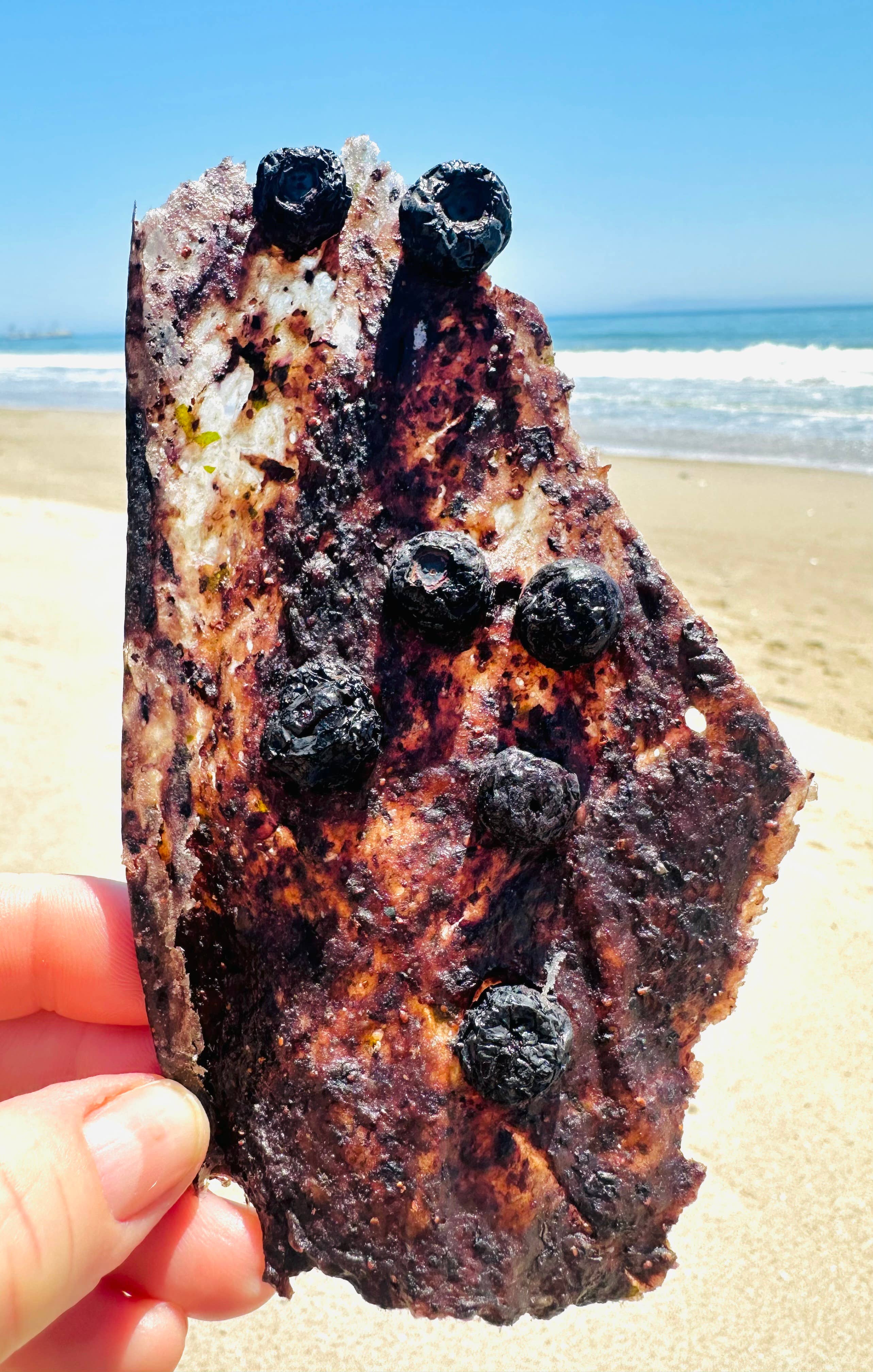 Fur Monster Goodies LLC - Wholesale Pet Treats - Dog - Bark: 100% Grass-Fed Bison & Wild Organic Blueberry1