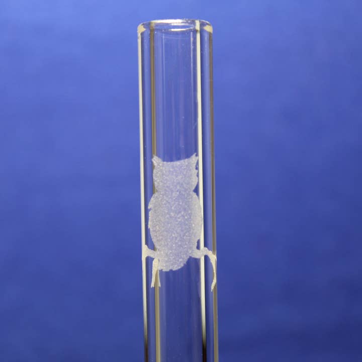 Etched Owl Glass Straw with cleaning brush for wholesale by DrinkingStraws.Glass LLC