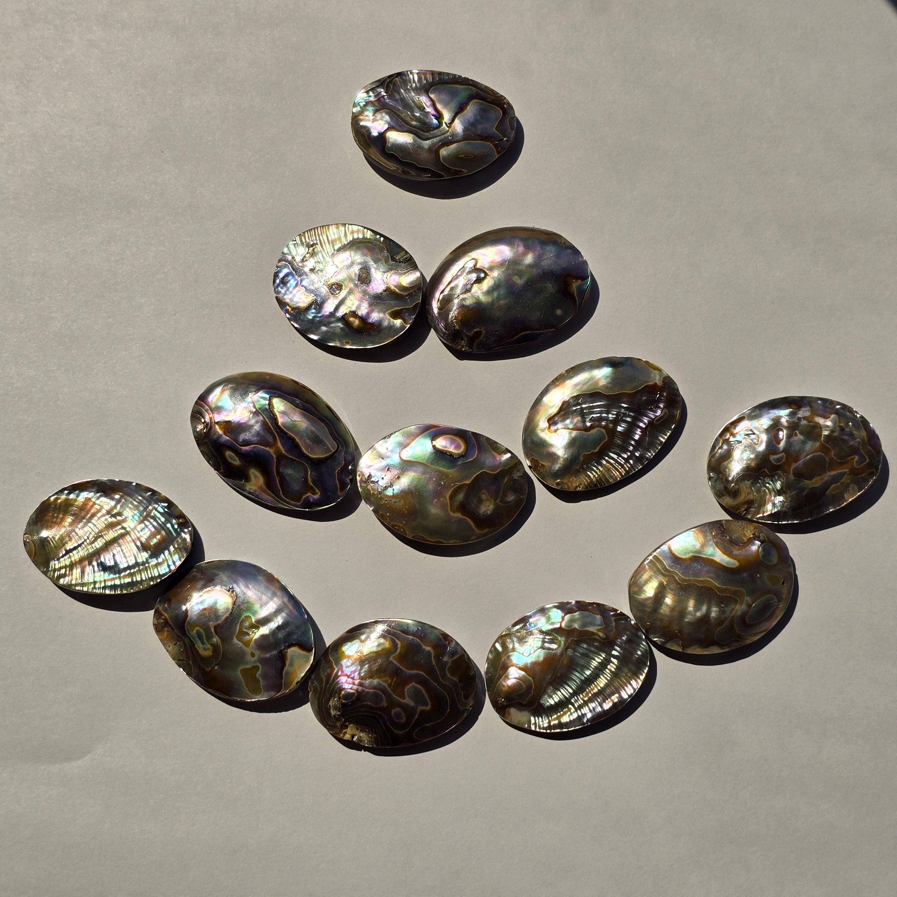 Rock Paradise - Wholesale Beads - Abalone Shell Oval Bead - Side Drilled1