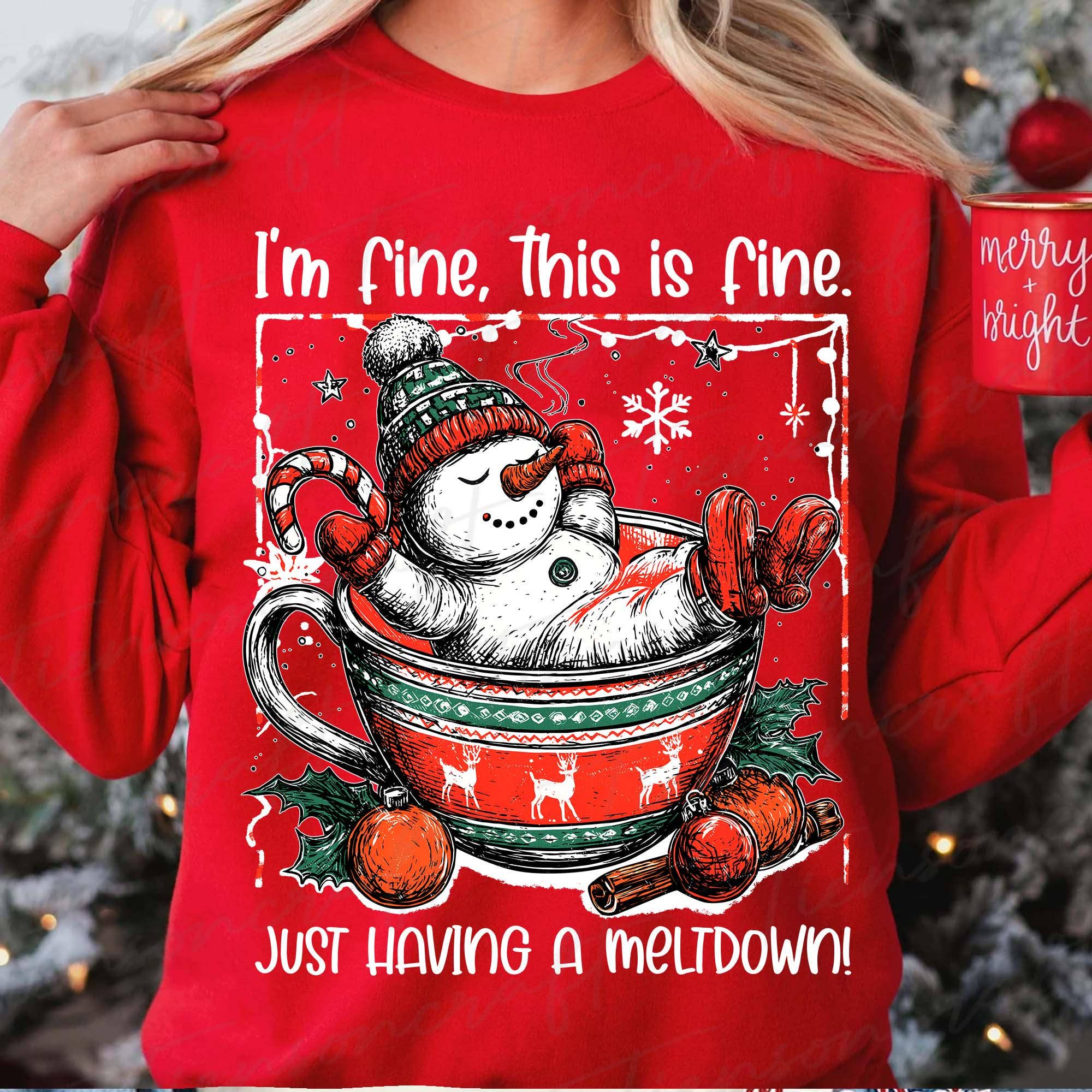 NVC Ecommerce LLC – Großhandel T-Shirt (Grafikdruck) – Damen – Lustiges Zitat Niedlicher Schneemann Weihnachts-Shirt, Xmas Sweatshirt1