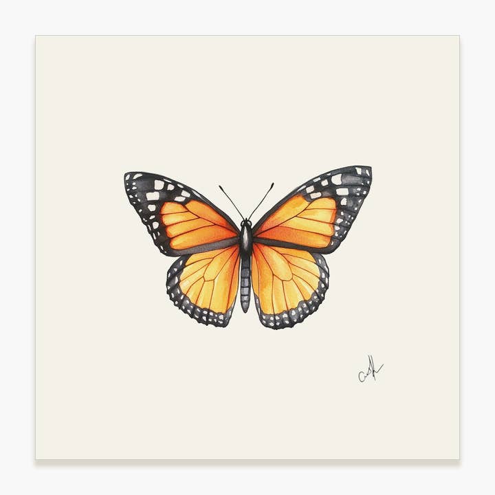 Mariposa Monarca - Impresión de Arte sin Enmarcar para venta al por mayor de Saltbox & Company