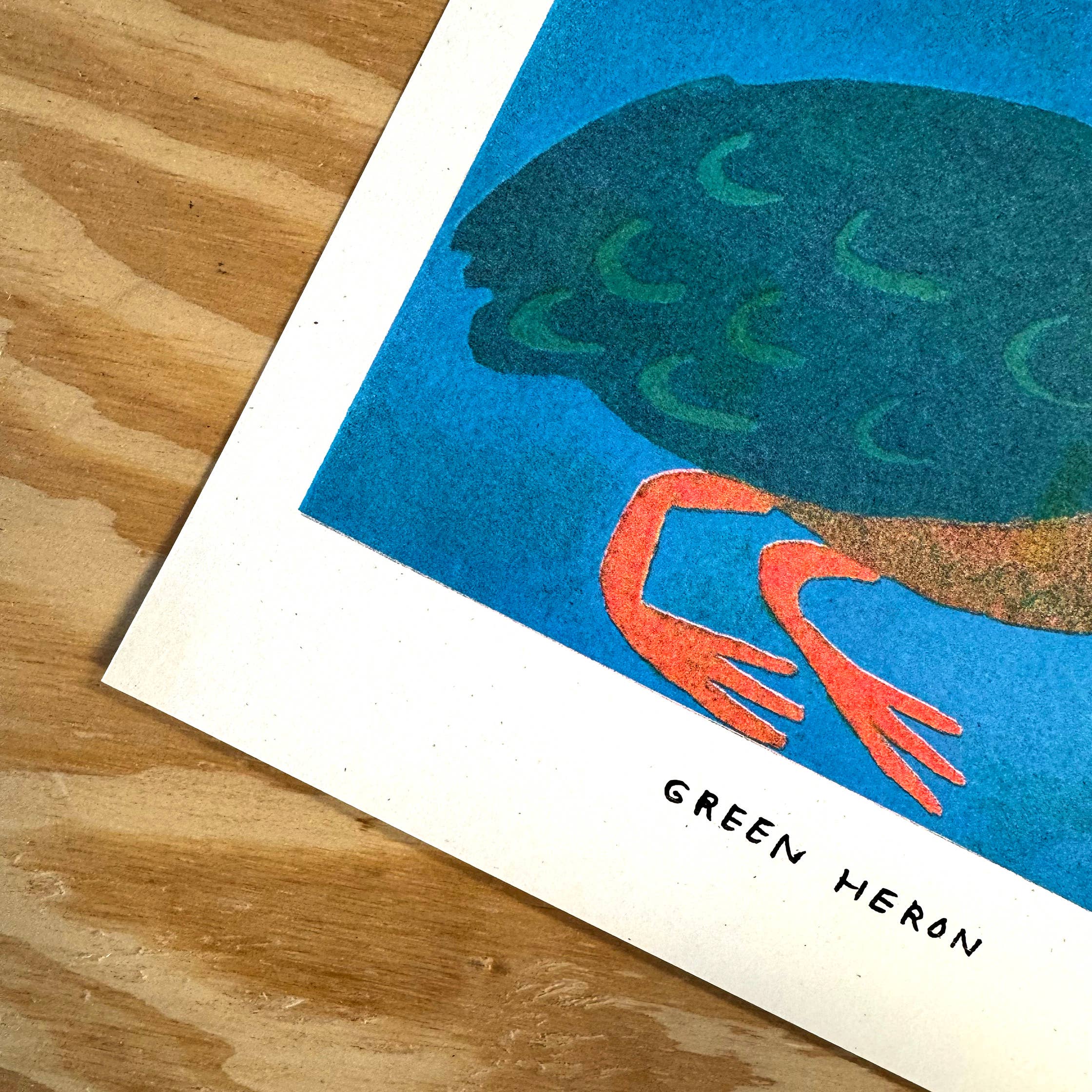 Molly Anne Bishop - Wholesale Art Print - Green Heron Print2