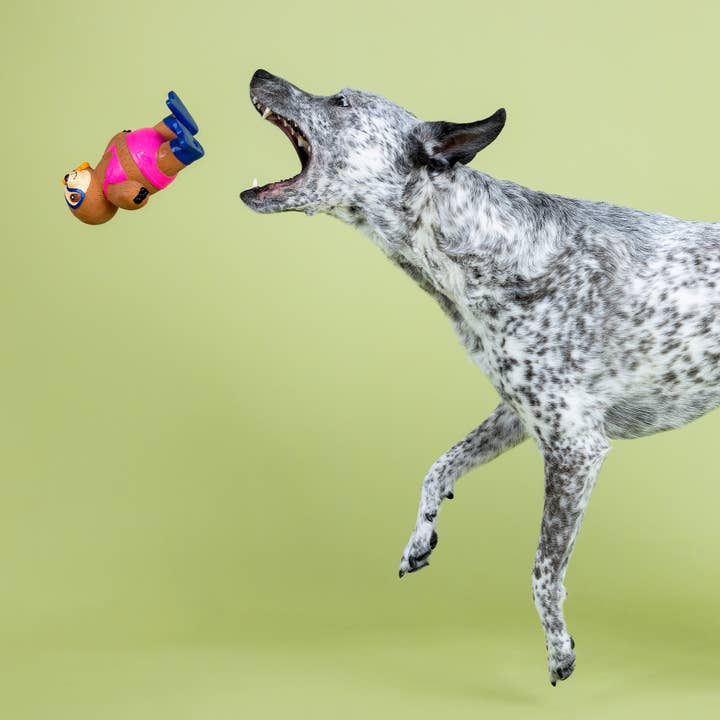 Petshop by Fringe Studio - Vente Peluche – chien - JOUET POUR CHIEN EN LATEX EAT SLEEP SNORKEL