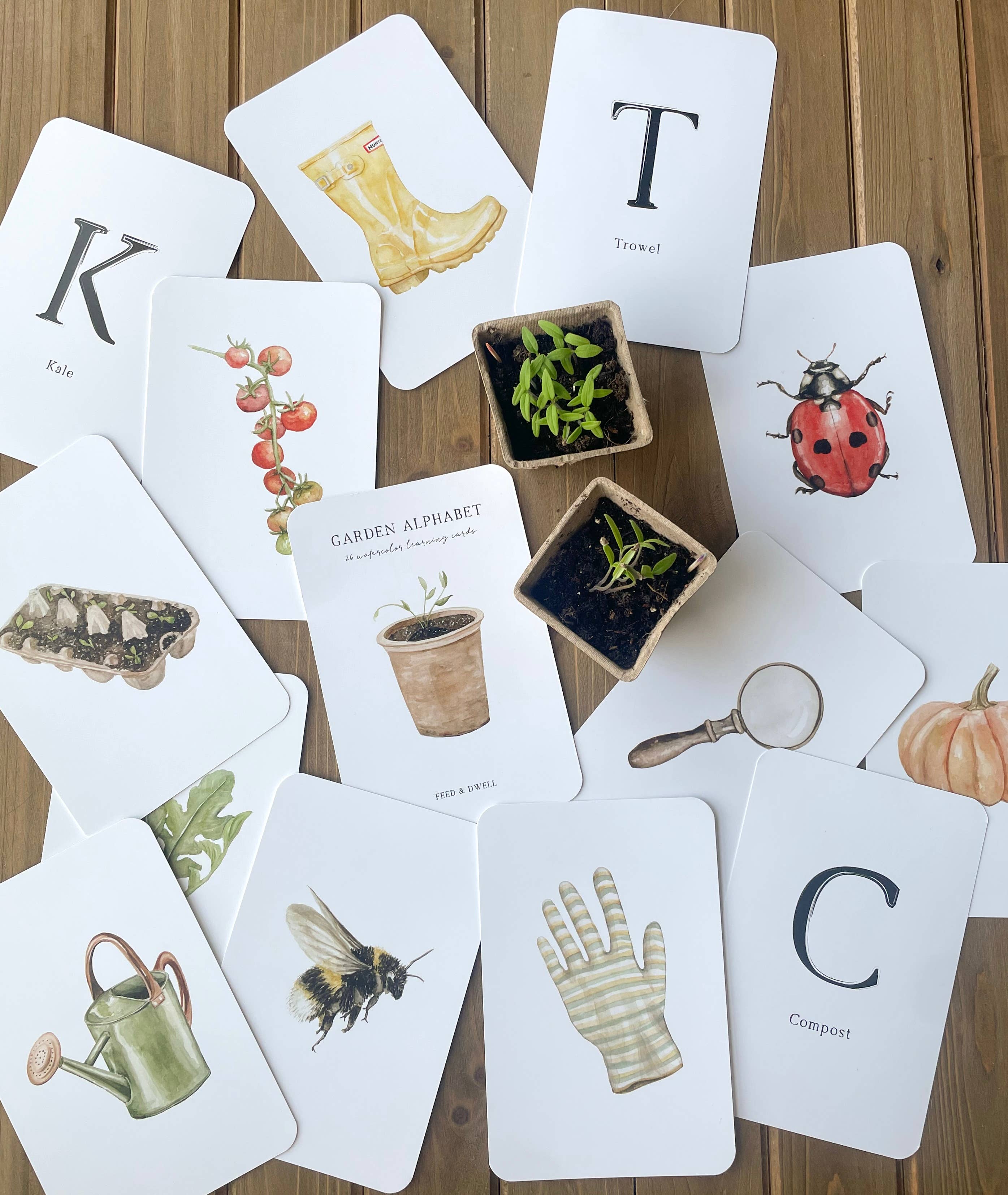 Feed & Dwell - Wholesale Learning Cards - Kids & Baby - Garden Alphabet Cards | ABC Learning Flash Cards6