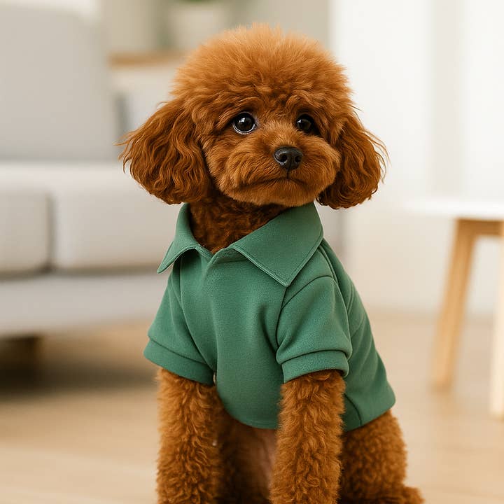 Colette et Gastón pet brand - Wholesale Pet Shirt - Dog - Sérine Dog Polo Shirt Cotton2